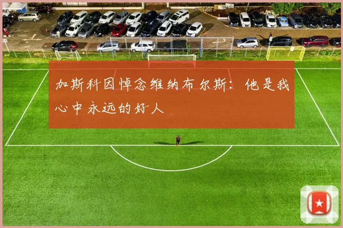 加斯科因悼念维纳布尔斯：他是我心中永远的好人