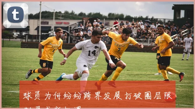 球员为何纷纷跨界发展打破圈层限制寻求新机遇