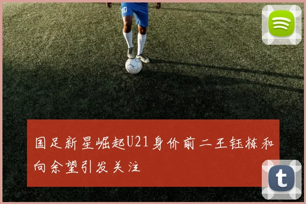 国足新星崛起U21身价前二王钰栋和向余望引发关注